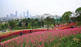 南宁青秀山兰园