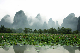 钟山十里画廊烟雨荷塘