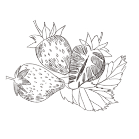 线稿 线稿素材 文具 小素材