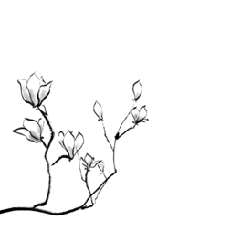 线稿 线稿素材 生活用品线稿