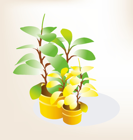 商务图标 办公图标 生活图标