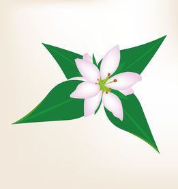 商务图标 办公图标 生活图标