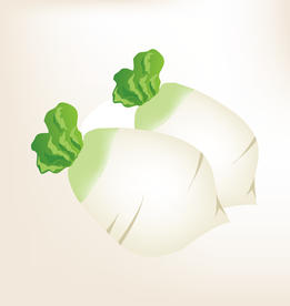 商务图标 办公图标 生活图标