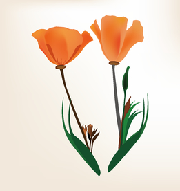 商务图标 办公图标 生活图标