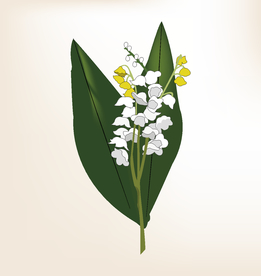 商务图标 办公图标 生活图标