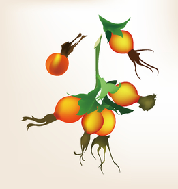 商务图标 办公图标 生活图标