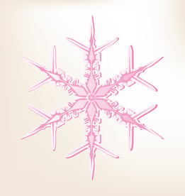 矢量雪花 雪花素材 雪花矢量素