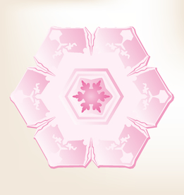 矢量雪花 雪花素材 雪花矢量素