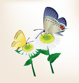 商务图标 办公图标 生活图标