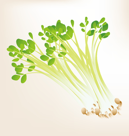 商务图标 办公图标 生活图标