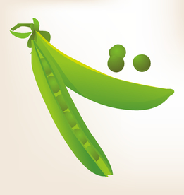 商务图标 办公图标 生活图标