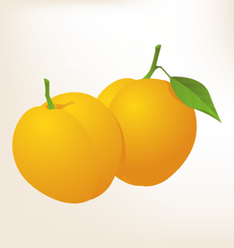 商务图标 办公图标 生活图标