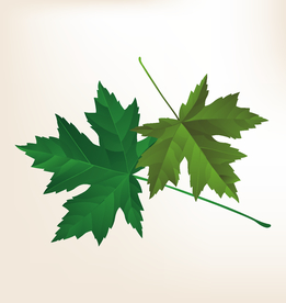 商务图标 办公图标 生活图标