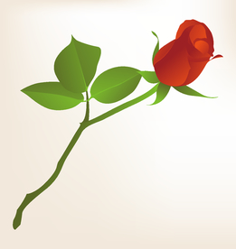 商务图标 办公图标 生活图标