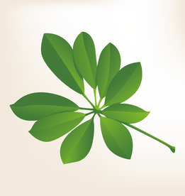 商务图标 办公图标 生活图标