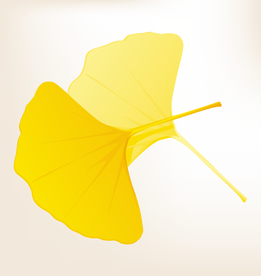 商务图标 办公图标 生活图标