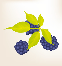 商务图标 办公图标 生活图标