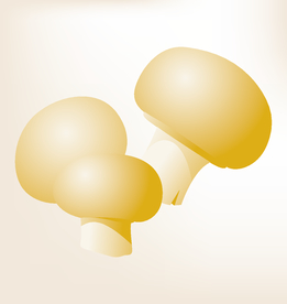 商务图标 办公图标 生活图标