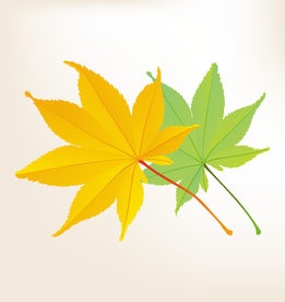 商务图标 办公图标 生活图标