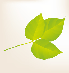 商务图标 办公图标 生活图标