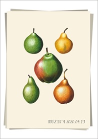 5款入 梨 水果图鉴