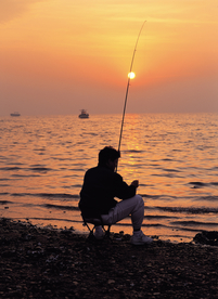 钓鱼垂钓捕鱼抓鱼图片