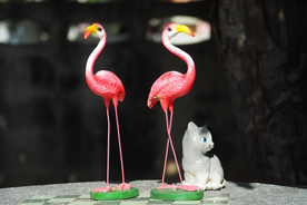 火烈鸟空山鸟语图片