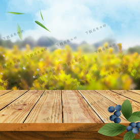 淘宝主图直通车