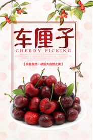 车厘子美食宣传海报
