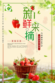 新鲜草莓采摘海报