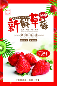 草莓采摘海报