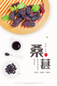 简约小清新风水果桑葚海报