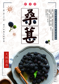 中国风桑葚海报设计