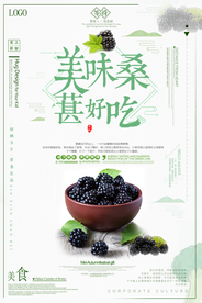 简约时尚桑葚海报