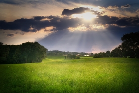 阳光照射的草地