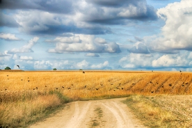 蓝天白云下的田野