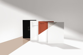 高档logo智能贴图样机