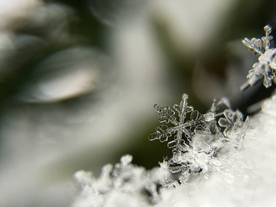 雪花冰花冰霜窗花图片