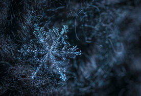 雪花冰花冰霜窗花图片