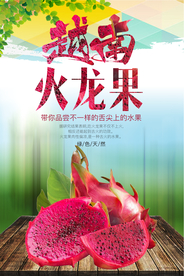 越南火龙果宣传海报