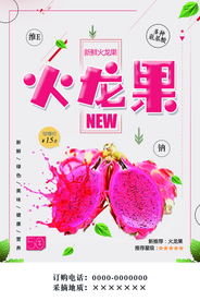 简约火龙果促销海报设计