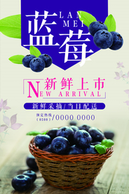 蓝莓新鲜上新海报