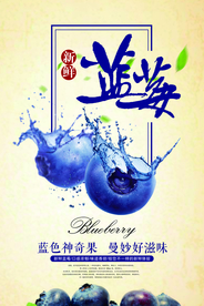 创意蓝莓宣传海报