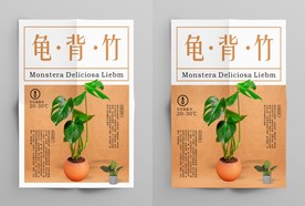 龟背竹海报