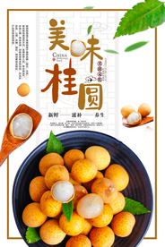 白色中国风简洁龙眼水果海报