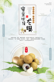 美味桂圆海报设计