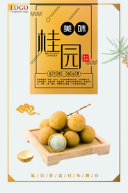 创意美味桂圆宣传海报