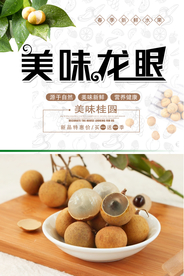 美味桂圆美食海报