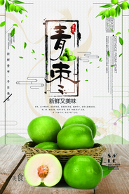 青枣美食水果宣传海报