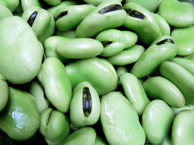 蚕豆五谷杂粮图片